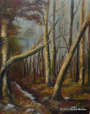 Massy's Wood, Dublin Mountain Trail, woodland winter scene