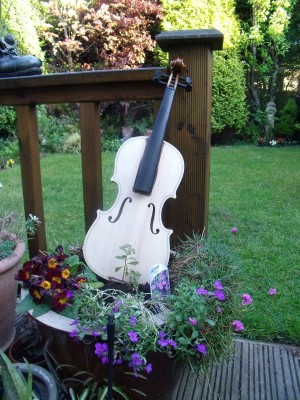 Artistic Journey of the Violin 2,My Garden Violin, Instrument Art