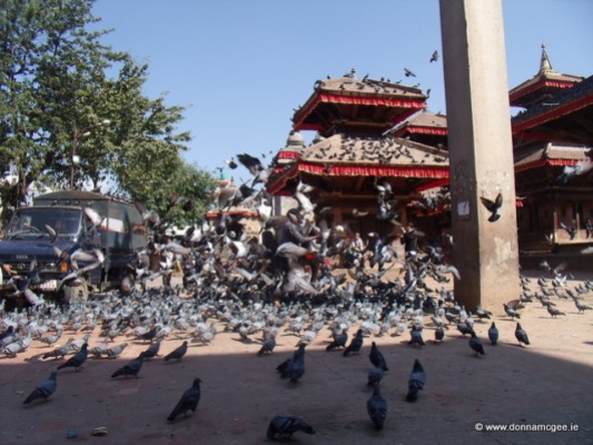 Taleju Temple - feeding the pigeons