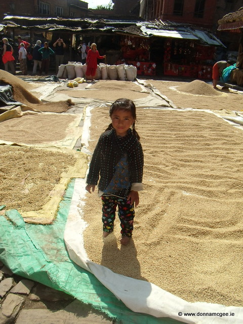 Drying the rice harvest along the streets in Bhaktapur